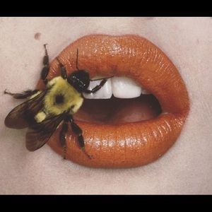 Meet your Posher, Noah